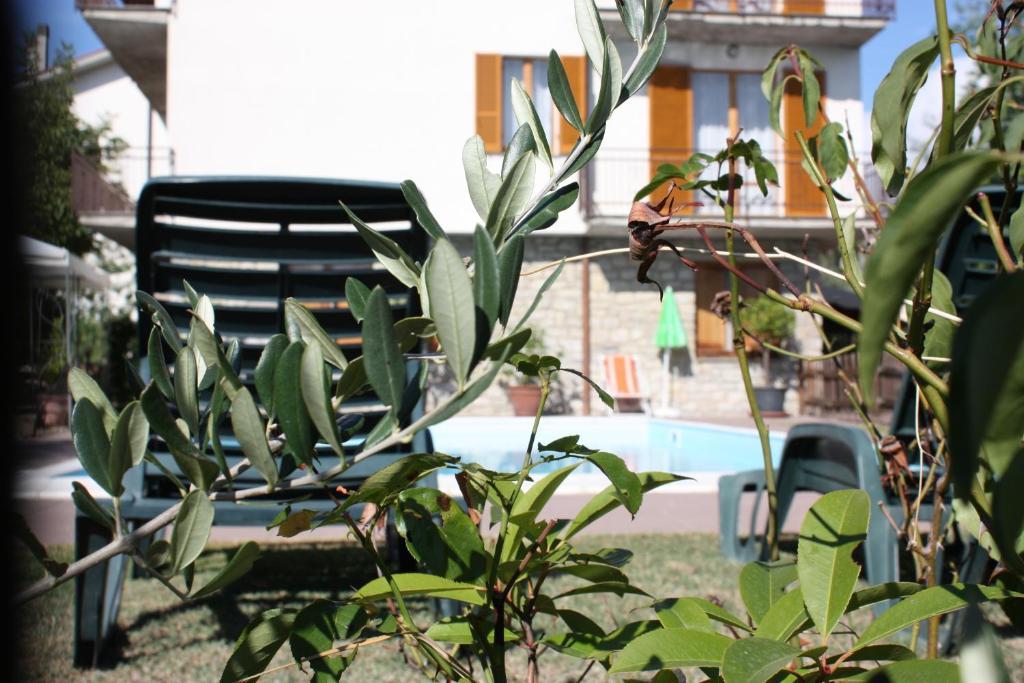 Hotel Belvedere Passignano sul Trasimeno Εξωτερικό φωτογραφία